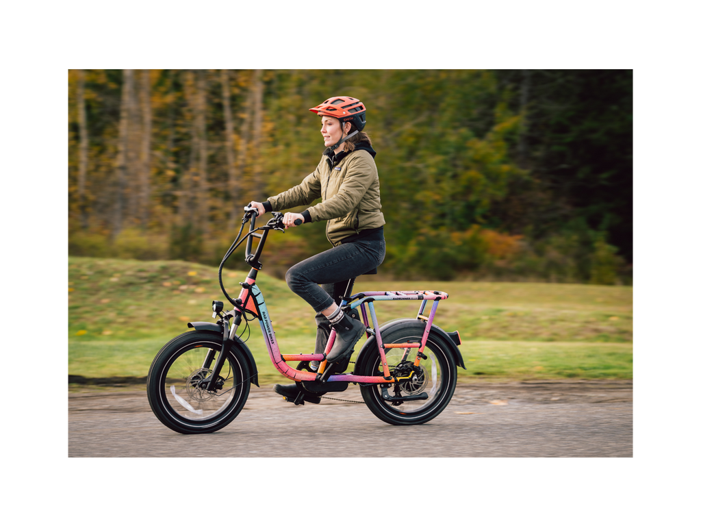 Exoras Plus Electric Cargo Utility Bike