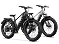 TST® Combo Sale Defender 26" Fat Tire Ebike For Adult