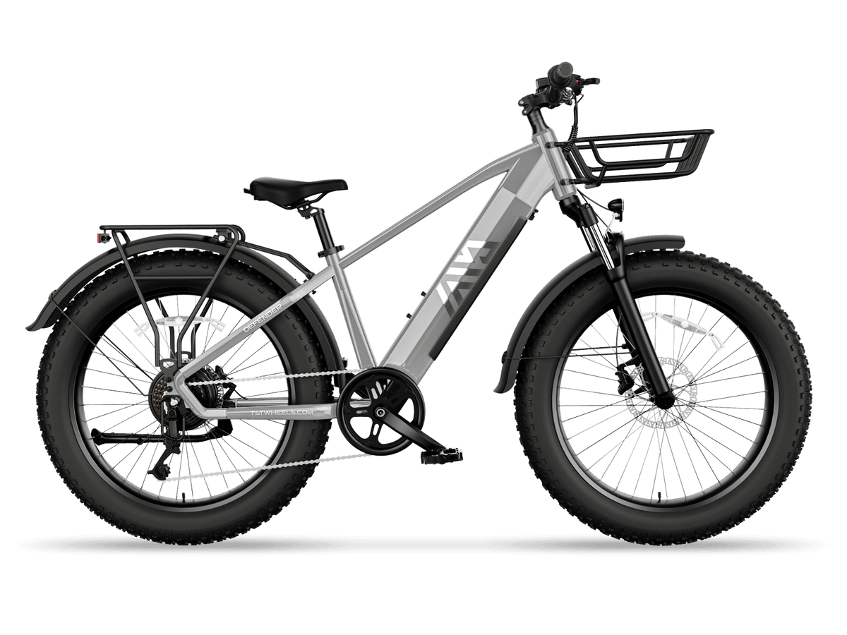 TST® Combo Sale Defender 26" Fat Tire Ebike For Adult