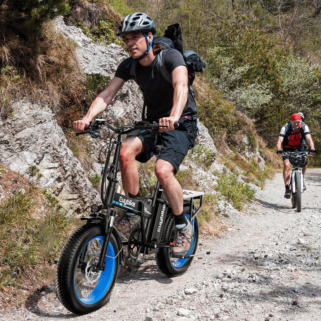 1000W Folding Electric Bike, 48V 20AH Removable Battery E Bike, 70 Miles Max Range, 20" Fat Tire Adults Electric Bike,7-Speed Ebike for City Commuting,Off-Roading,Mountain