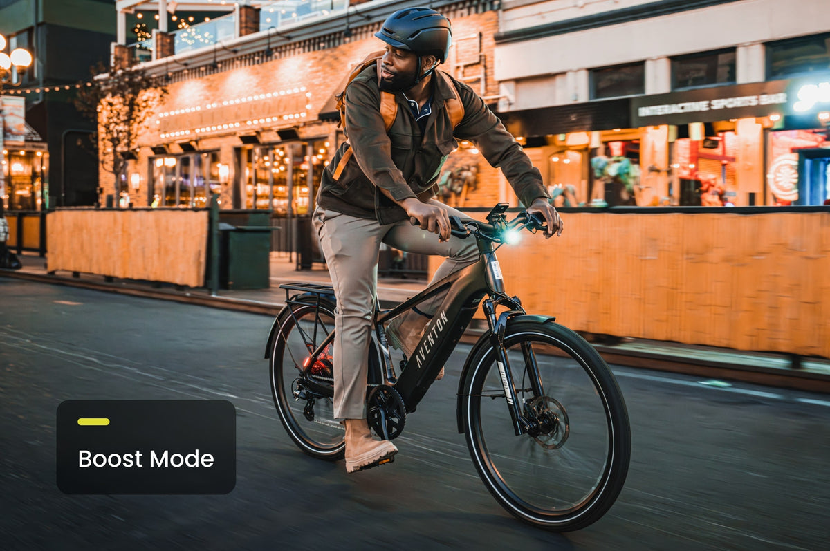 Exoras Level 3 Step-Through Ebike