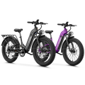 Aipas® Ebike Combo Sale M1 Pro*2