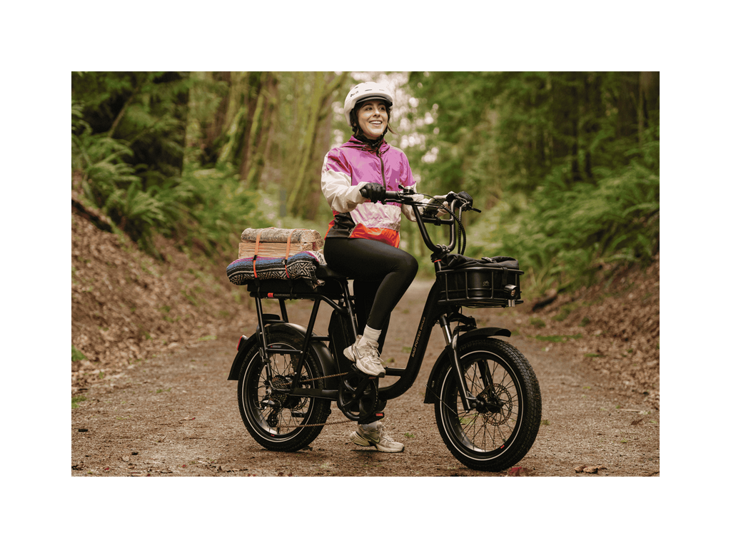 Exoras Plus Electric Cargo Utility Bike