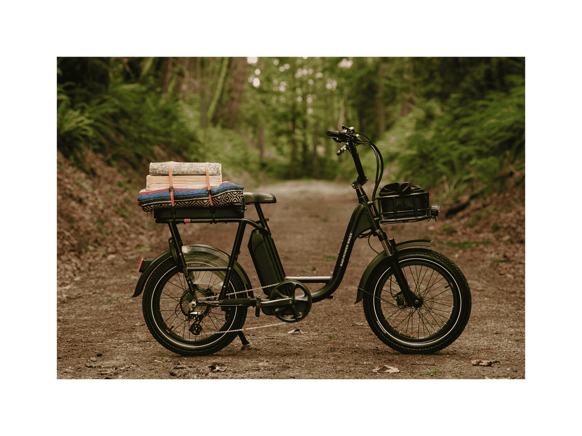 Exoras Plus Electric Cargo Utility Bike