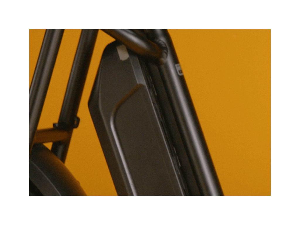 Exoras Plus Electric Cargo Utility Bike