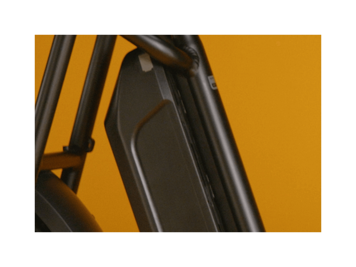 Exoras Plus Electric Cargo Utility Bike