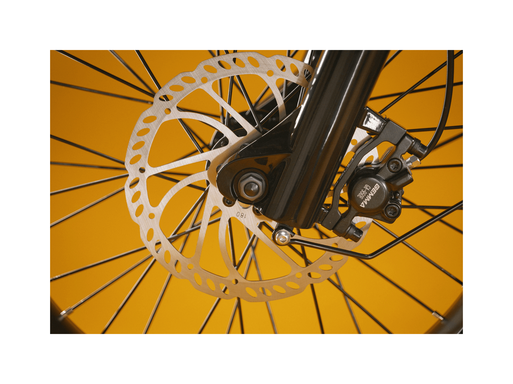 Exoras Plus Electric Cargo Utility Bike