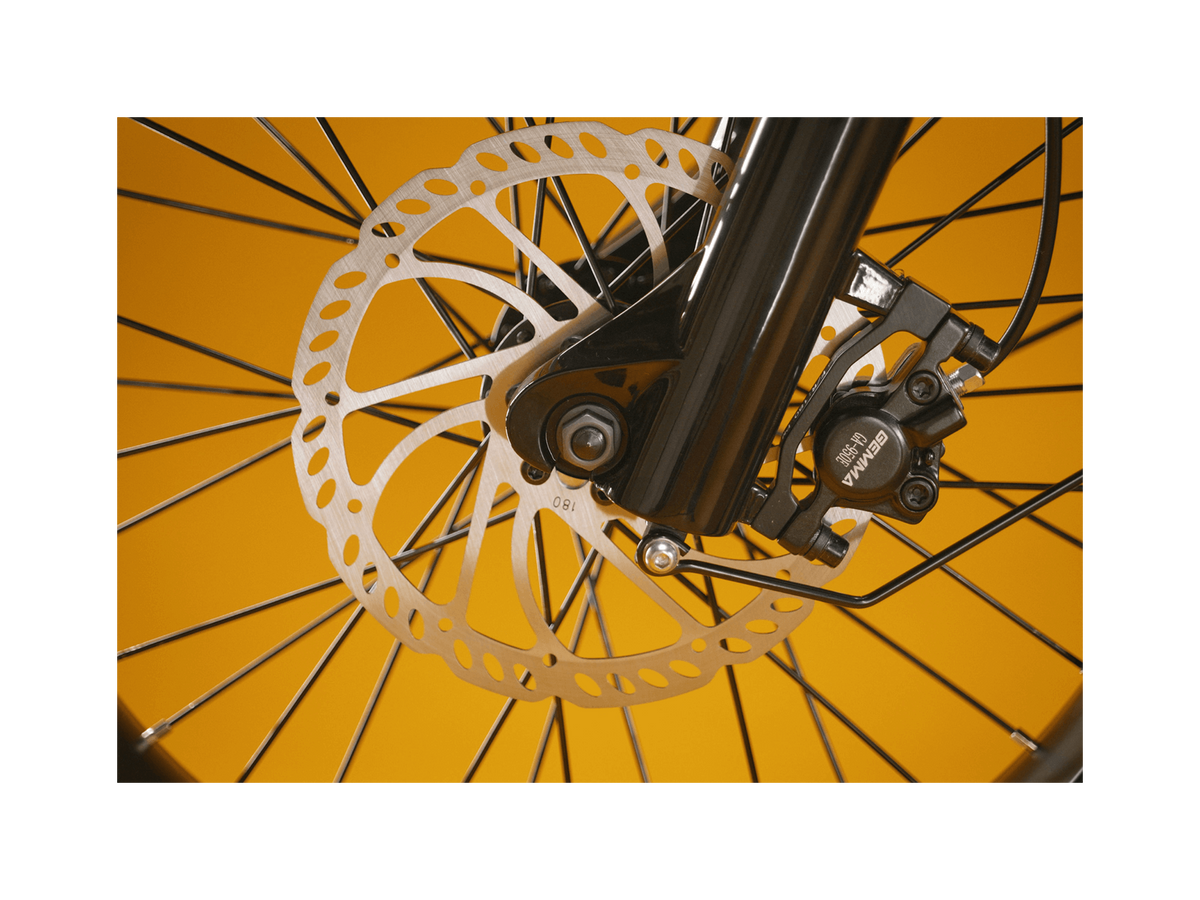 Exoras Plus Electric Cargo Utility Bike