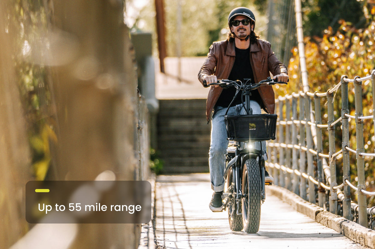 Sinch 2 Ebike