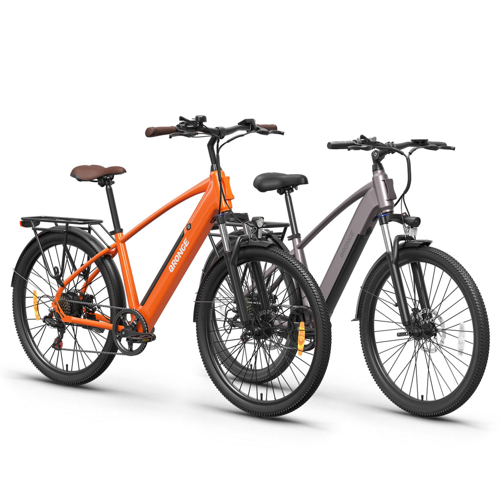 Meteors+Discoverer Ebike