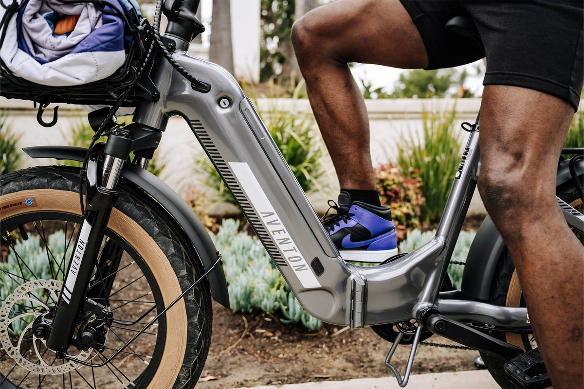 Sinch 2 Ebike