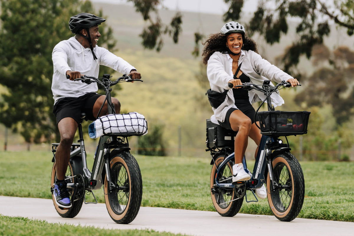 Sinch 2 Ebike
